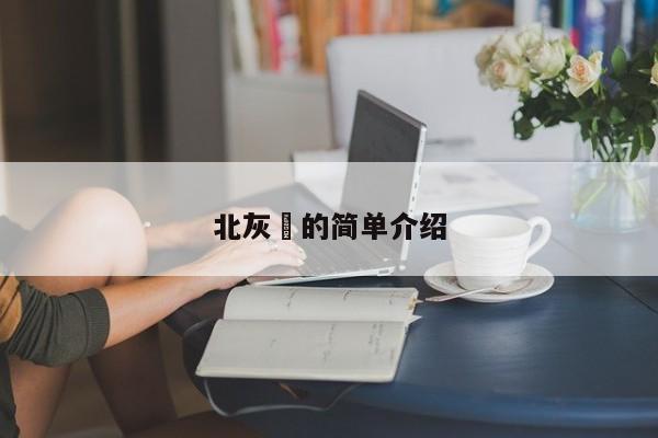 北灰鹟的简单介绍