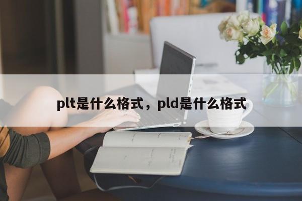 plt是什么格式，pld是什么格式