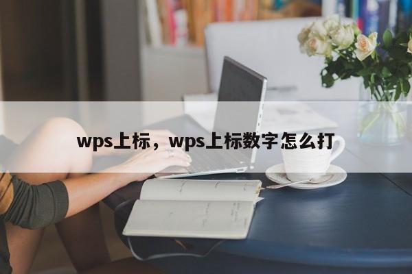 wps上标，wps上标数字怎么打
