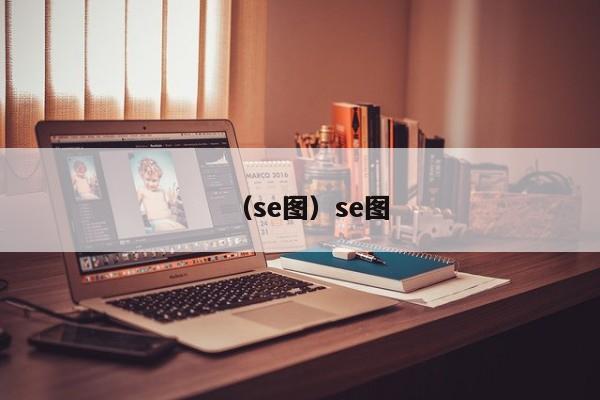 （se图）se图