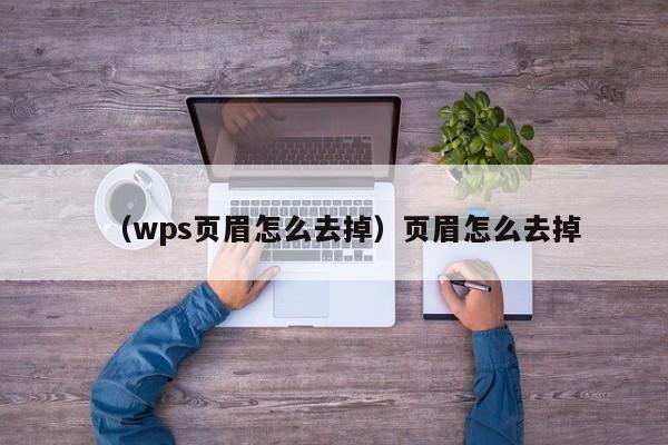 （wps页眉怎么去掉）页眉怎么去掉