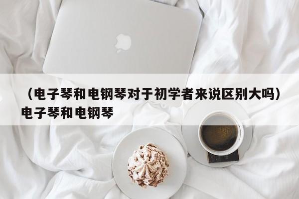 （电子琴和电钢琴对于初学者来说区别大吗）电子琴和电钢琴