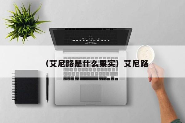 （艾尼路是什么果实）艾尼路
