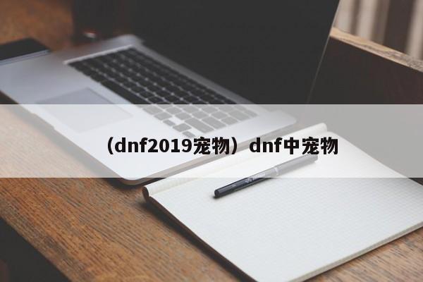 （dnf2019宠物）dnf中宠物