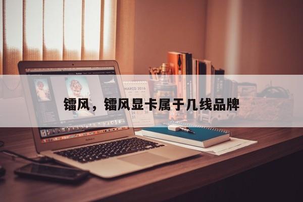 镭风，镭风显卡属于几线品牌