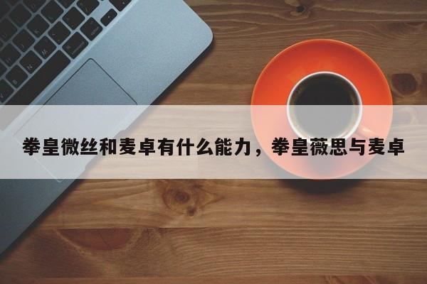 拳皇微丝和麦卓有什么能力，拳皇薇思与麦卓