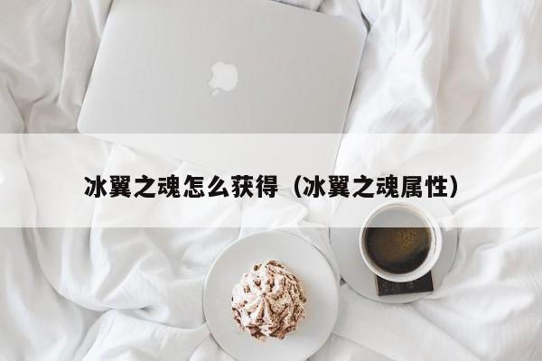 冰翼之魂怎么获得（冰翼之魂属性）