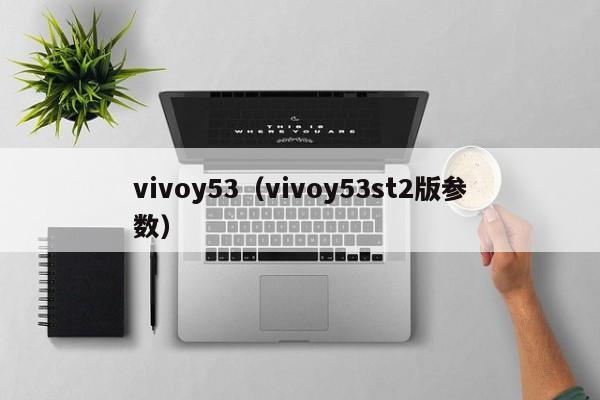 vivoy53（vivoy53st2版参数）
