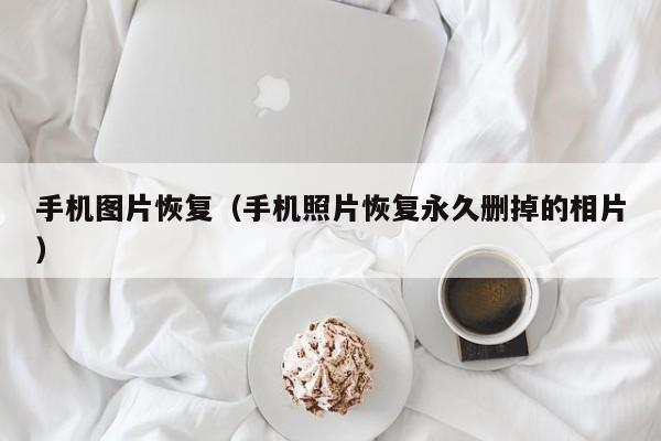 手机图片恢复（手机照片恢复永久删掉的相片）