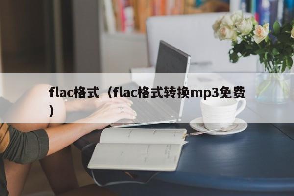 flac格式（flac格式转换mp3免费）