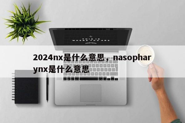 2024nx是什么意思，nasopharynx是什么意思