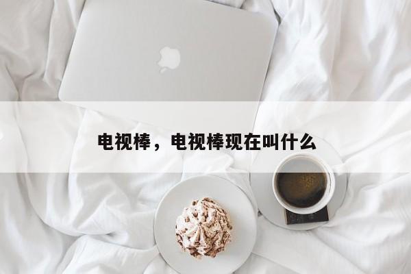 电视棒，电视棒现在叫什么