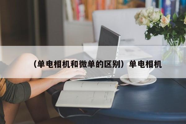 （单电相机和微单的区别）单电相机