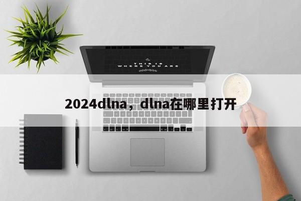 2024dlna，dlna在哪里打开